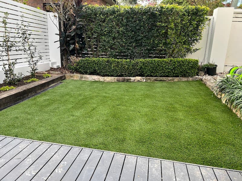 K9 Grass project 1