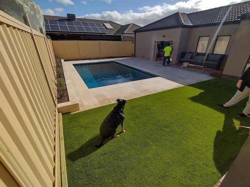 K9 Grass project 3