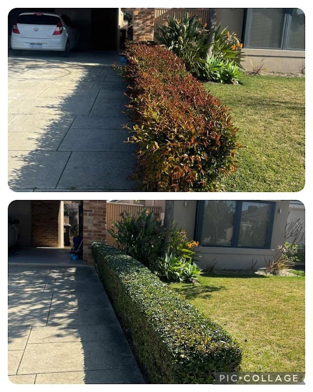 Kaizen Gardening Services project 1