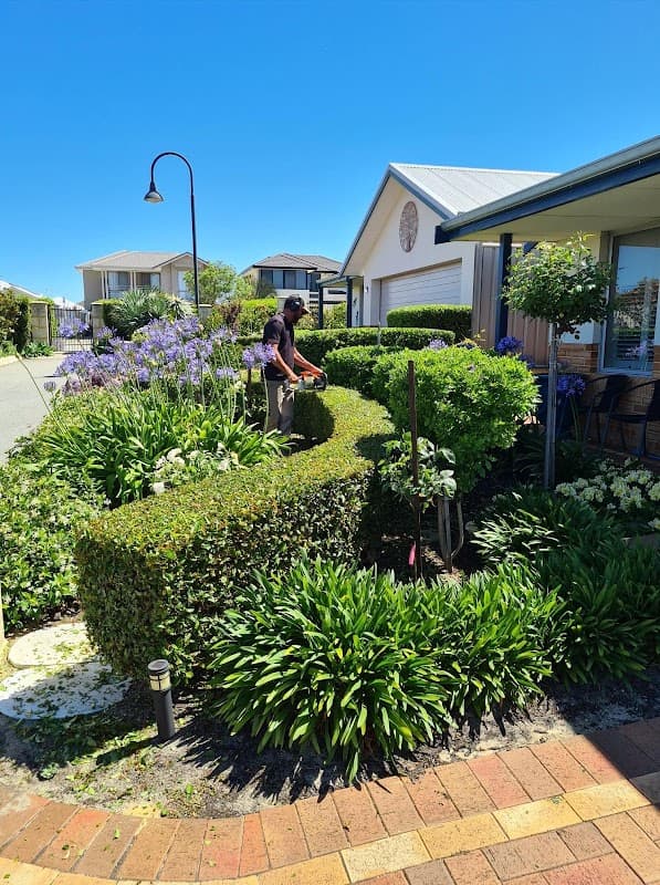 Kaizen Gardening Services project 3