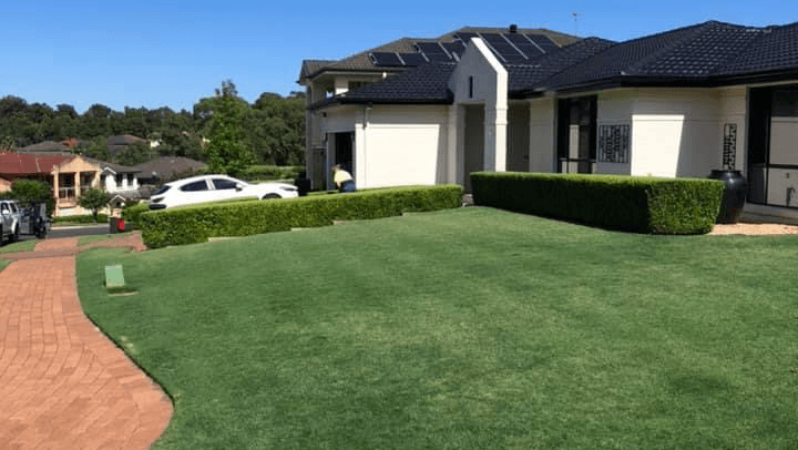 KB Mowing project 3