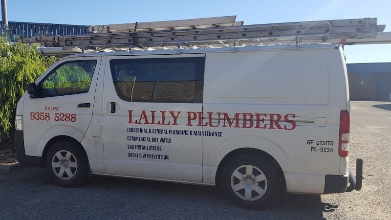 Lally Plumbers project 1