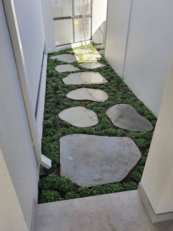 Landscape Constructions project 6