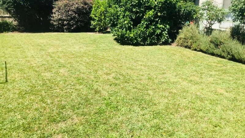 Lawn Mowings Australia project 1