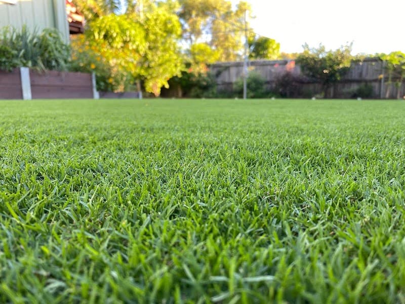 Lawn Mowings Australia project 3