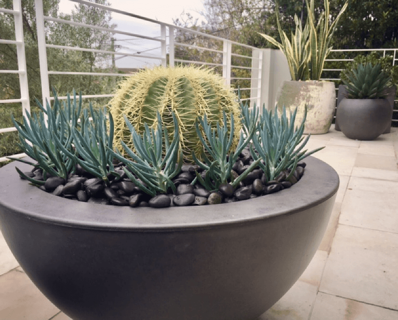 Leaf Stone Water Garden Design cover
