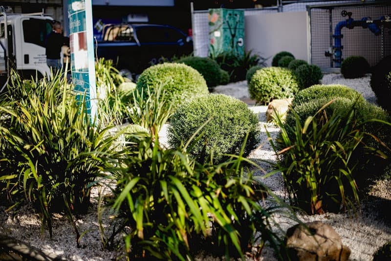 Little Forest Landscaping project 4