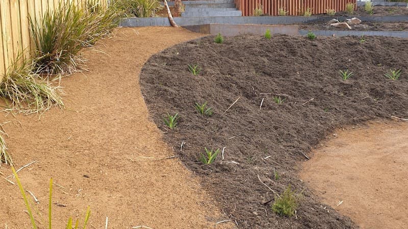 Little Forest Landscaping project 6