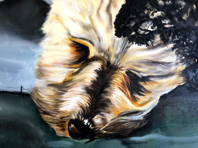 Little Fox Studio project 4