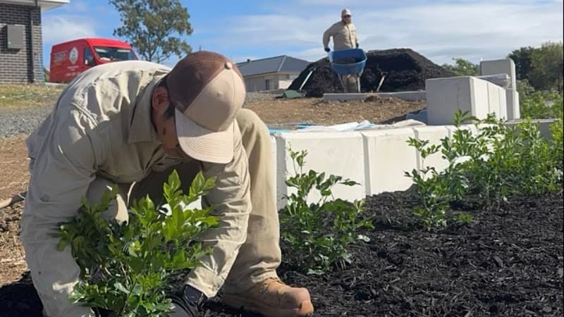 Lou’s Gardening & Landscaping Services project 1