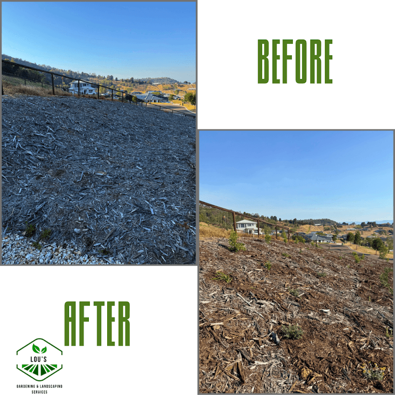 Lou’s Gardening & Landscaping Services project 6