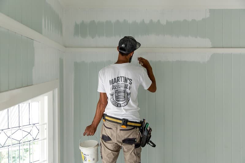 Martins Professional Painting cover