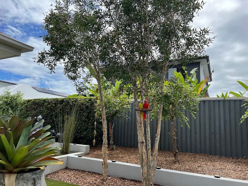 McDaid Property Maintenance cover