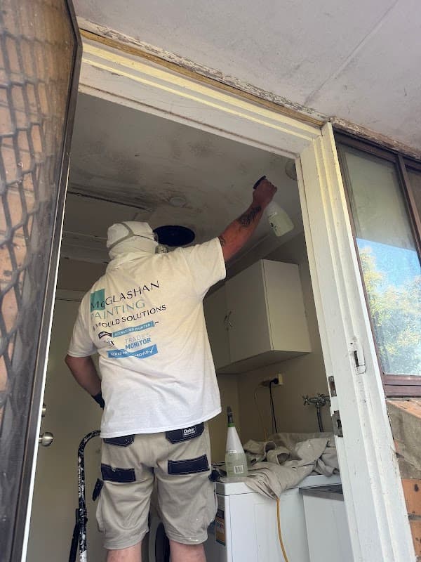 McGlashan Mould Removal & Painting project 3
