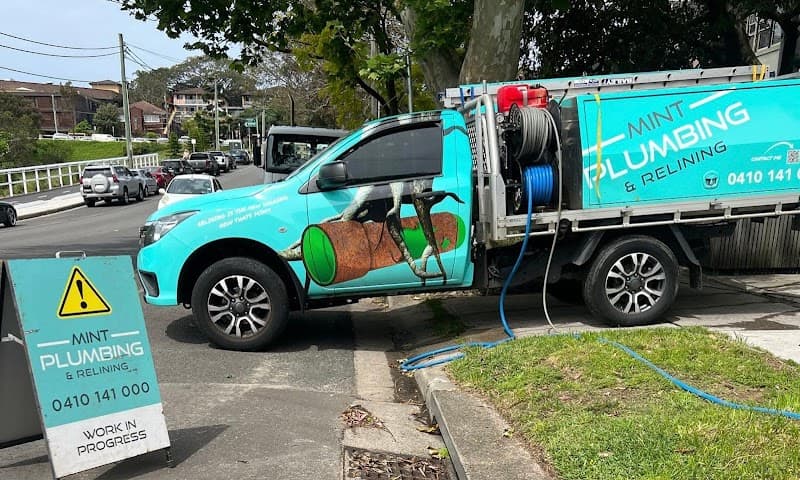 Mint Plumbing & Relining project 4
