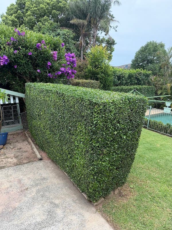 MK gardening services project 1