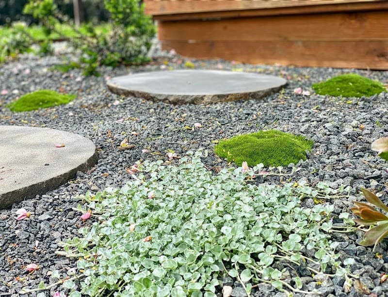 MK Gardens project 4