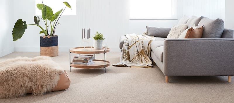 Modern Living Carpet Court (Launceston) cover