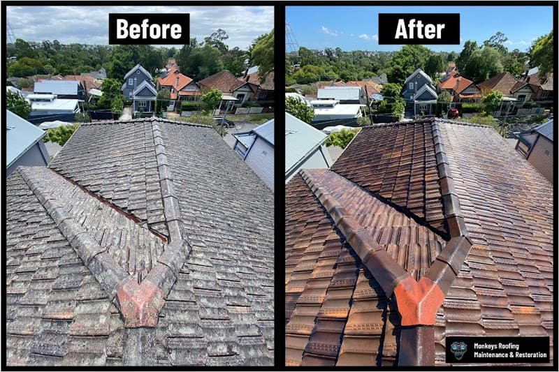 Monkeys Roofing project 1