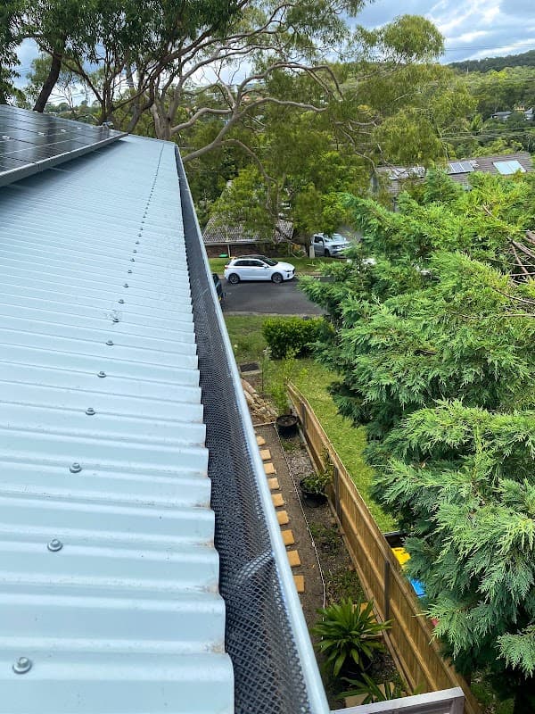 Monkeys Roofing cover