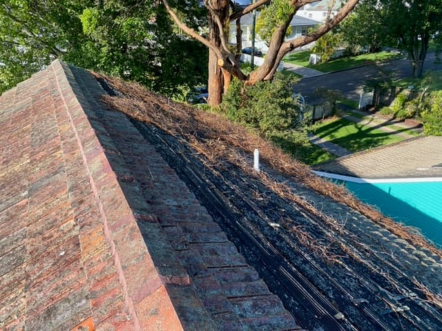 Monkeys Roofing project 4