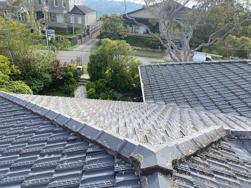 Monkeys Roofing - Northern Beaches cover