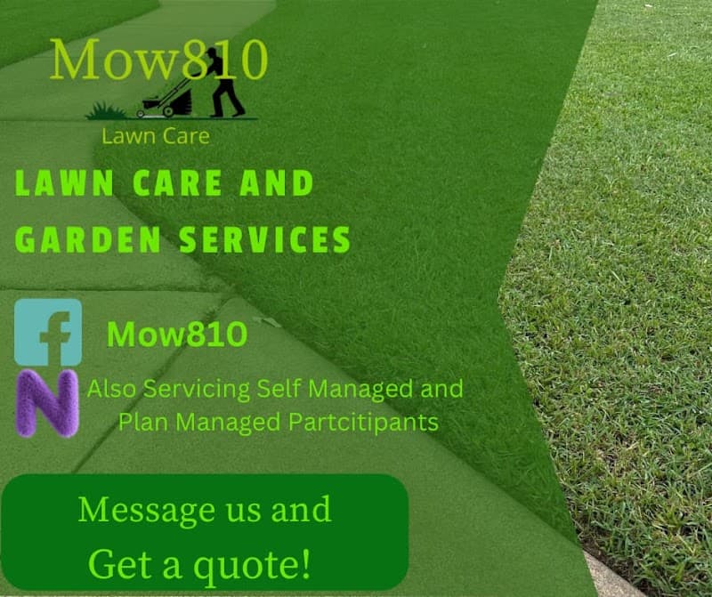 Mow810 project 4