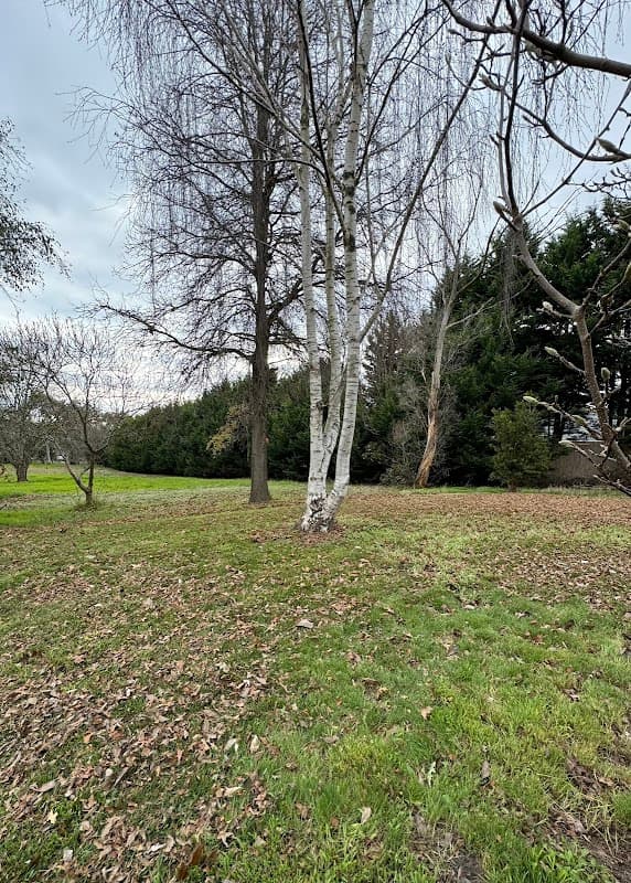 Mownation Lawns & Gardens (Mt Eliza) cover