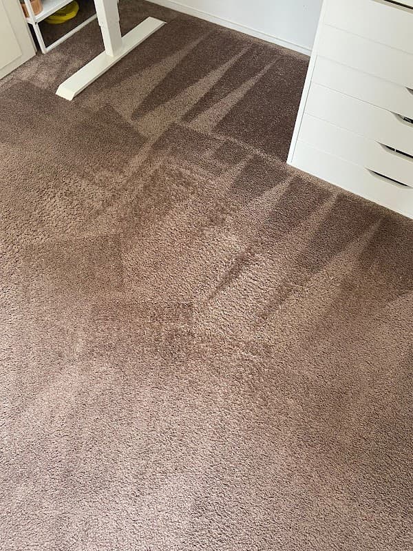 Mr Bee Cleaning l Carpet & Tile Cleaning Specialist cover