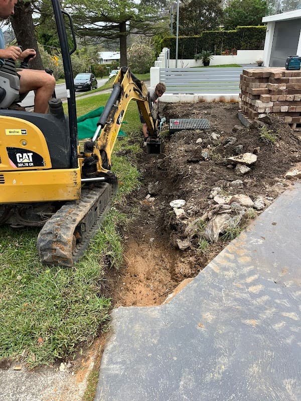 MSC Diggerscape project 4