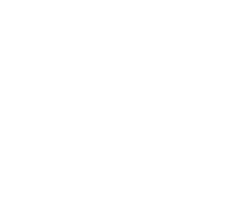 MT. LIVING project 5