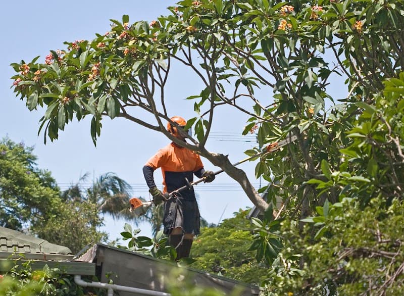 Northern Beaches Gardeners cover