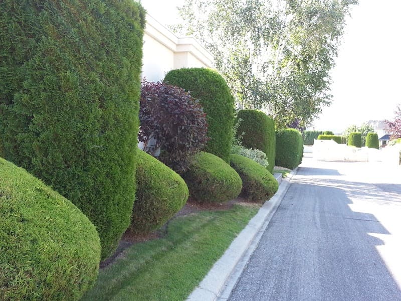 Northern Beaches Gardeners project 4