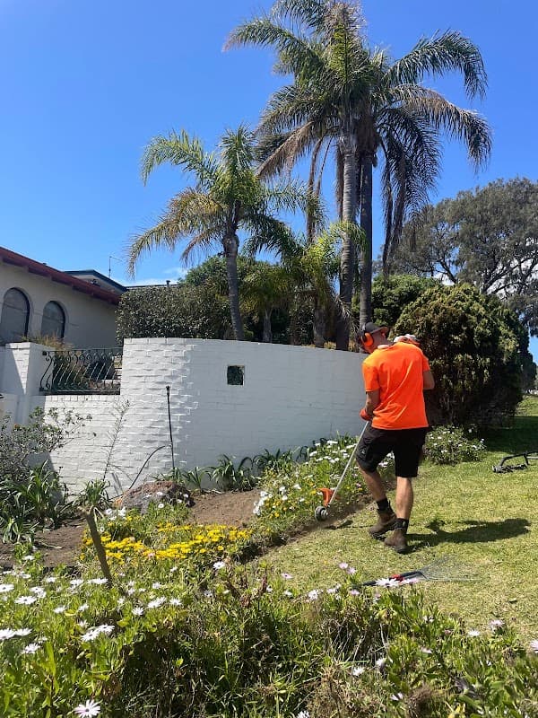 Nurture Garden Maintenance