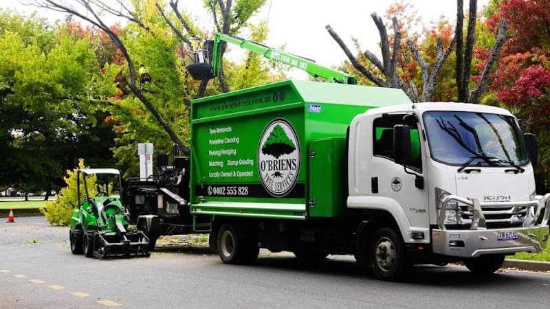 O'Briens Tree Services Canberra project 1