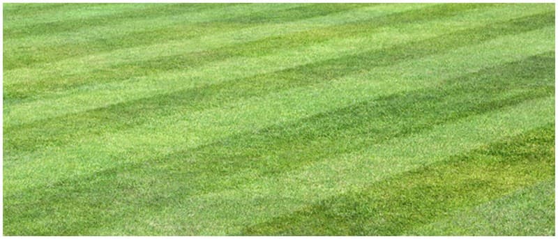 O'Meara's Lawn Mowing Service project 1