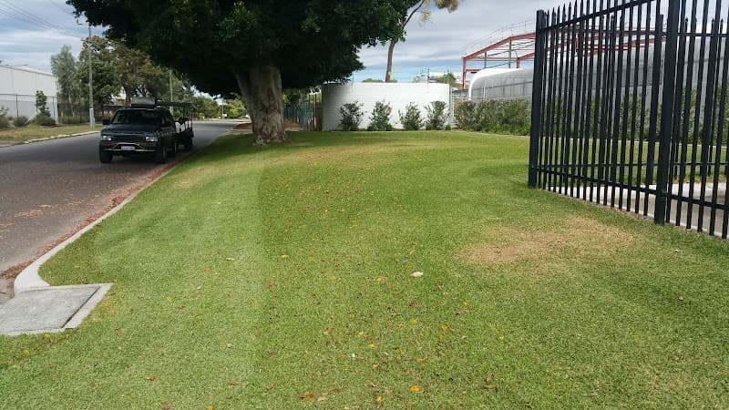 O'Meara's Lawn Mowing Service project 3