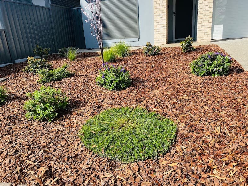 Oak’s Gardening project 1