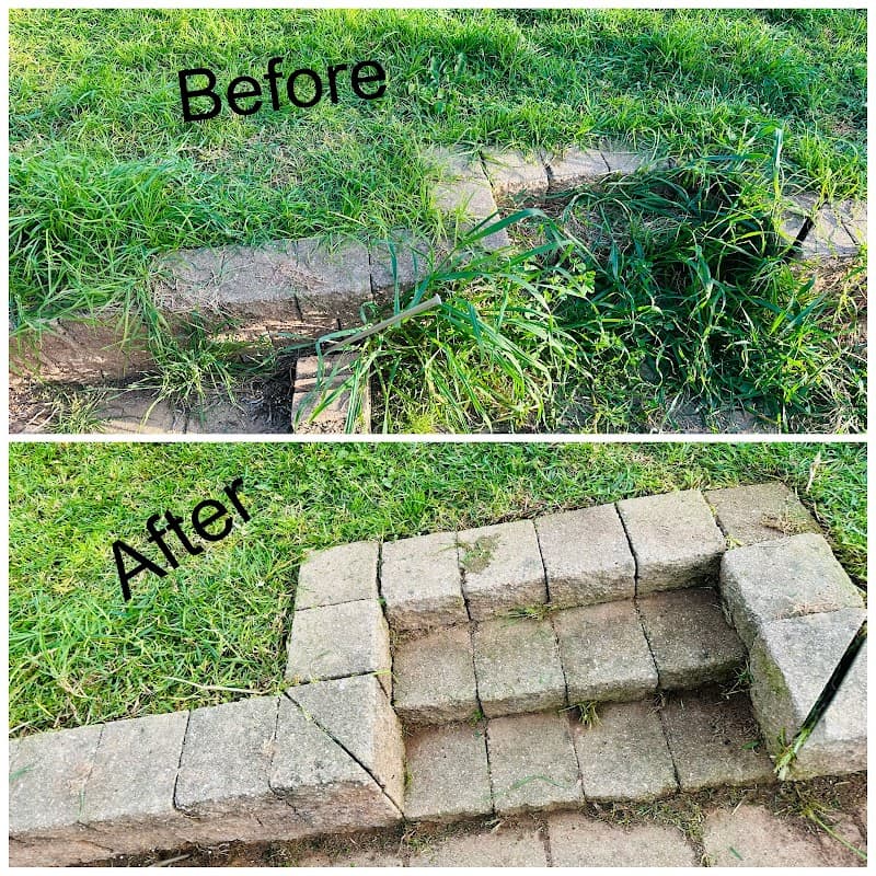 Oak’s Gardening project 3