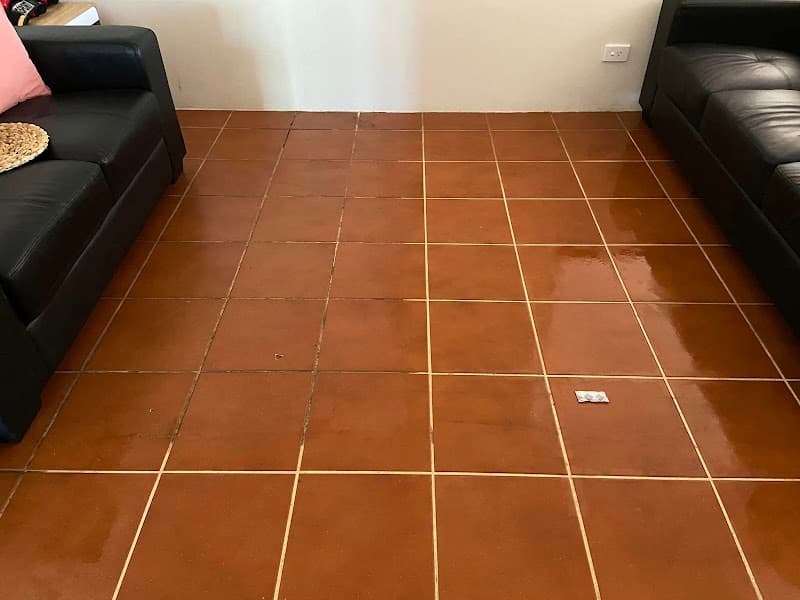 Oh My Grout project 4