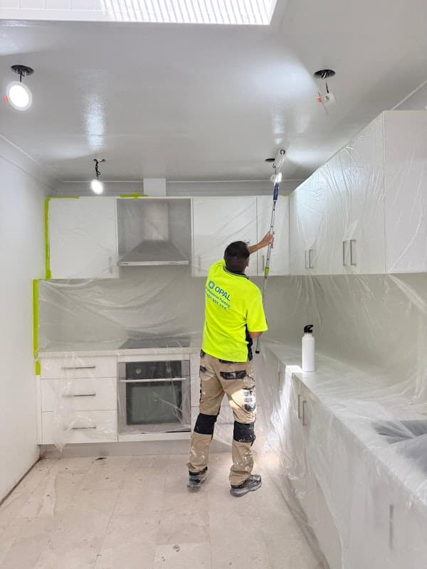 opal professional company project 3