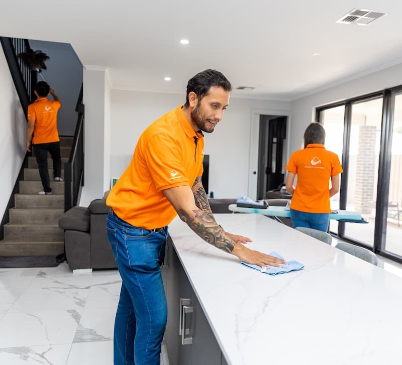 Orange Cleaning cover