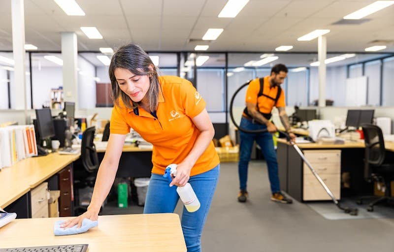 Orange Cleaning project 3