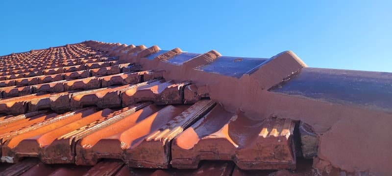 Oz Pix Discount Roof Restore project 2