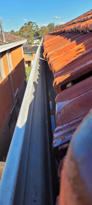 Oz Pix Discount Roof Restore project 4