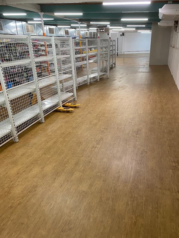 Ozwide Flooring project 3