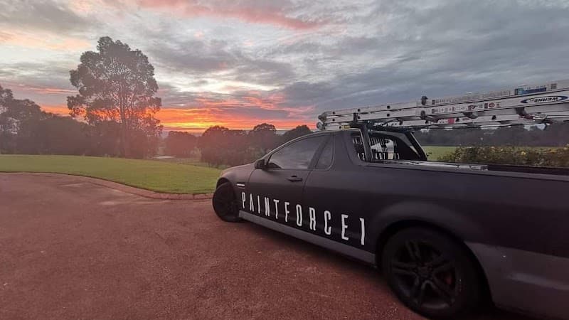 PAINT FORCE 1 project 1