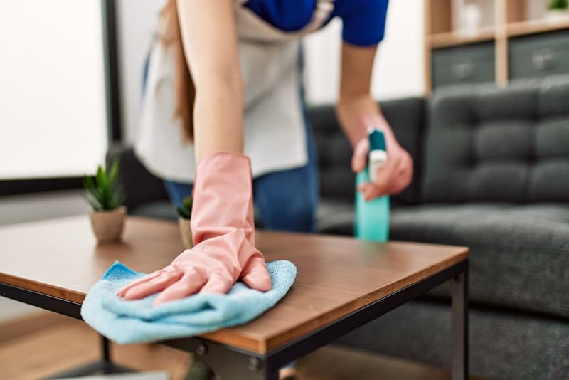 Pascoe Vale Cleaning Service project 1