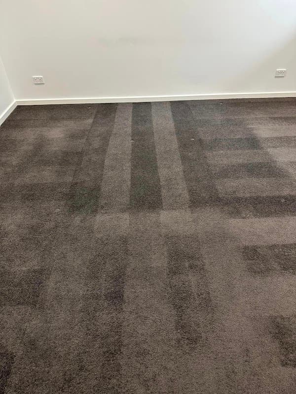 Pascoe Vale Cleaning Service project 5