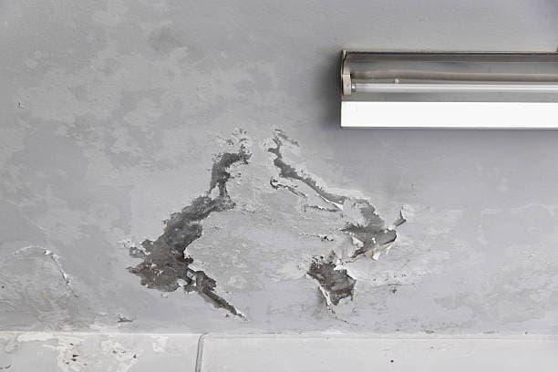 Peel Ceilings project 1